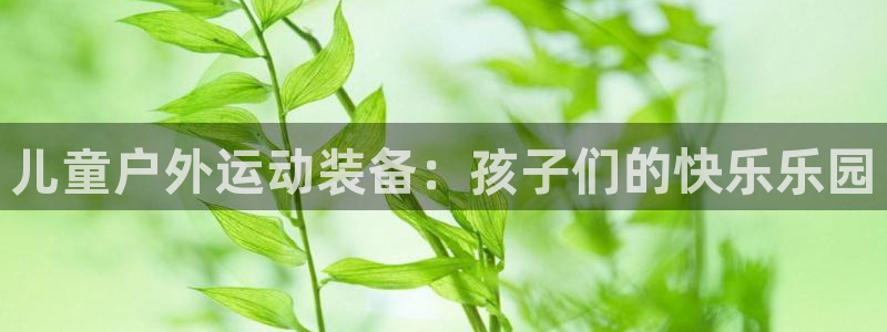 海南yy易游体育官网下载：儿童户外运动装备：孩子们的