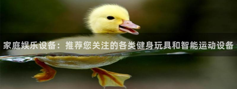 yy易游体育官方正版app娱乐网站：家庭娱乐设备：推