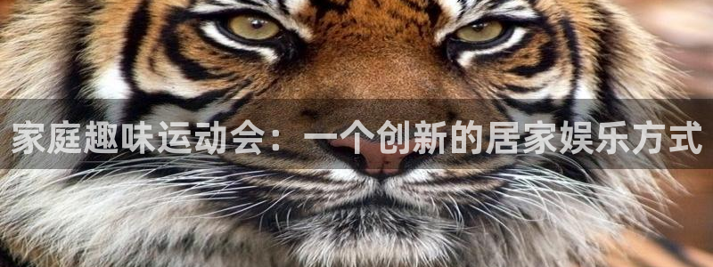 yy易游体育官网下载招商电话是多少啊：家庭趣味运动会：一个创