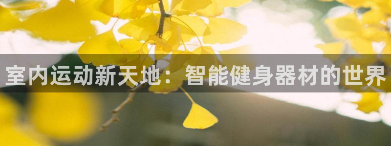 yy易游体育官网下载平台注册要钱吗安全吗：室内运动新天地：智