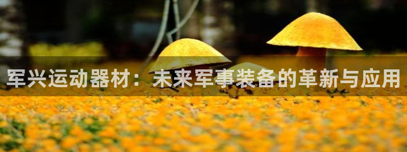 海南yy易游体育官网下载发展怎么样：军兴运动器材：未来军事装