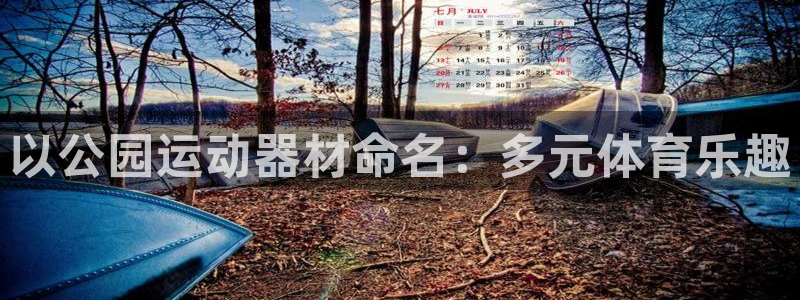 yy易游体育官网下载平台注册：以公园运动器材命名：多元体育乐