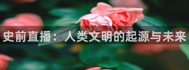 直播吧ufc体育直播：史前直播：人类文明的起源与未来