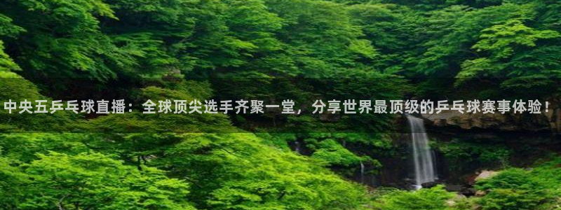 柠檬直播吧足球：中央五乒乓球直播：全球顶尖选手齐聚一堂，分享世界最顶级的乒乓球赛事体验！