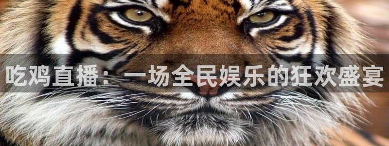 皇马足球直播免费观看直播吧：吃鸡直播：一场全民娱乐的狂欢盛宴