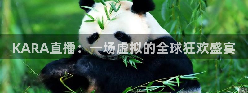 98直播吧篮球：KARA直播：一场虚拟的全球狂欢盛宴
