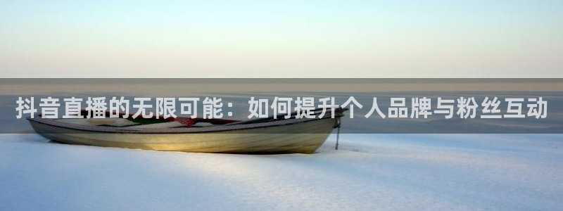 直播吧nba官网：抖音直播的无限可能：如何提升个人品牌与粉丝互动