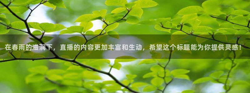 黑白体育直播吧：在春雨的滋润下，直播的内容更加丰富和生动，希望这个标题能为你提供灵感！