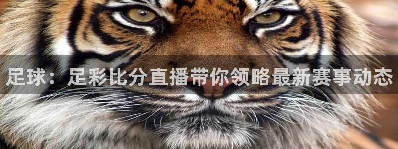 直播nba免费观看直播吧：足球：足彩比分直播带你领略最新赛事动态