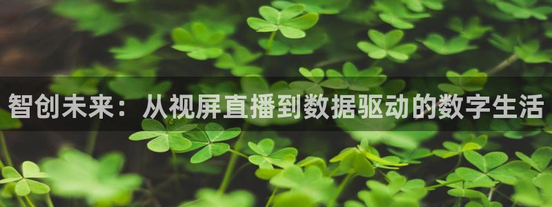 篮球98直播吧：智创未来：从视屏直播到数据驱动的数字生活